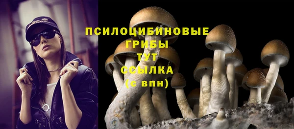 2c-b Алексеевка