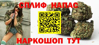сатива Бердск
