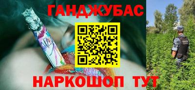 сатива Бердск