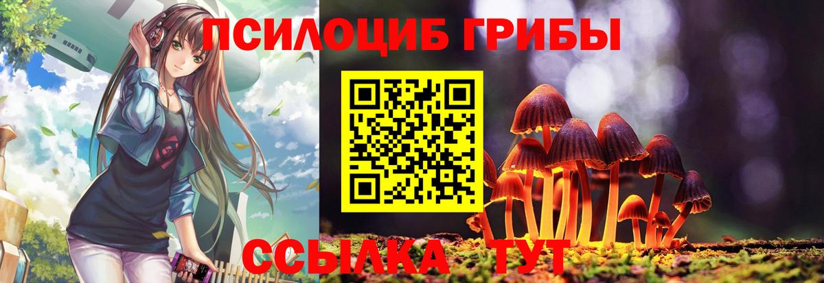 Ярцево  Псилоцибиновые грибы Psilocybe  Вход с VPN  Псилоцибиновые грибы мухоморы 