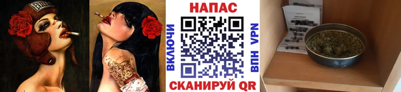 Бошки марихуана планчик  Ярцево 